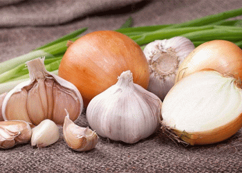 Spanish Onion and Garlic Growers Under Pressure: Can Innovation and Quality Secure Their Future?