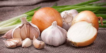 Spanish Onion and Garlic Growers Under Pressure: Can Innovation and Quality Secure Their Future?