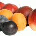 Spanish Stone Fruit Season 2024: Delayed Start, High Quality, and Minimal Hail Damage – What Farmers and Exporters Need to Know
