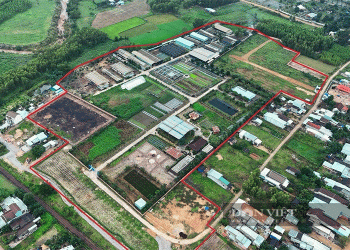 VietGAP Farm Scandal in Bình Định: How Regulatory Failures Undermine Agricultural Sustainability