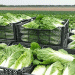 Drip Irrigation & Smart Farming in Maktaaral: How Innovation is Boosting Crop Yields and Profits