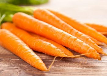 Austrian Carrot Market Update: Early Harvest Insights and Pricing Trends for 2024
