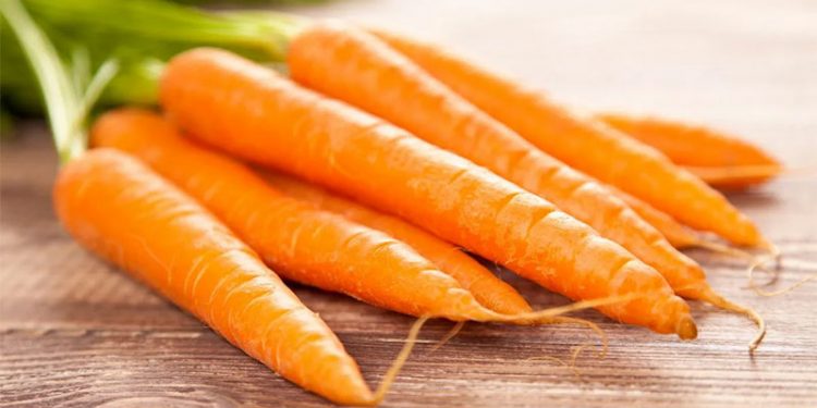 Austrian Carrot Market Update: Early Harvest Insights and Pricing Trends for 2024