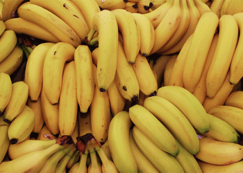 Peru’s Banana Exports Decline in April 2025: Market Shifts and Price Pressures