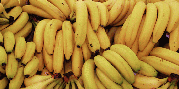 Peru’s Banana Exports Decline in April 2025: Market Shifts and Price Pressures
