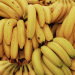 Peru’s Banana Exports Decline in April 2025: Market Shifts and Price Pressures