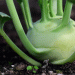 Record-Breaking Kohlrabi Surplus Sparks Unprecedented Retail Promotions in Germany