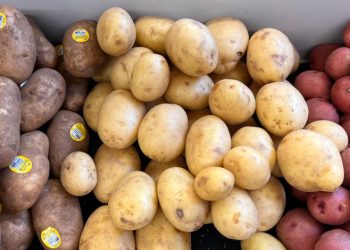 Why Do Grocers Cover Potatoes at Night? The Science Behind This Curious Practice
