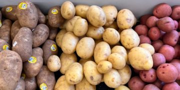 Why Do Grocers Cover Potatoes at Night? The Science Behind This Curious Practice