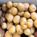 Why Do Grocers Cover Potatoes at Night? The Science Behind This Curious Practice