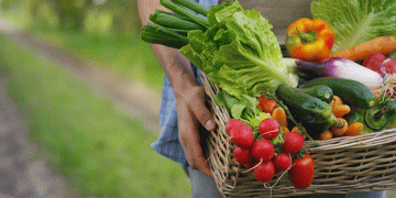 The Organic Premium: Why Organic Produce Costs 50% More and What It Means for Agriculture