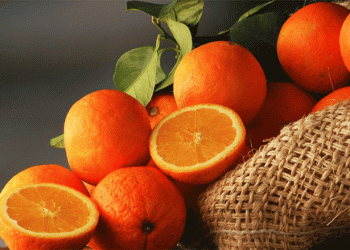 Brazil’s Orange Harvest Surges by 36%: Key Factors Driving the Boom