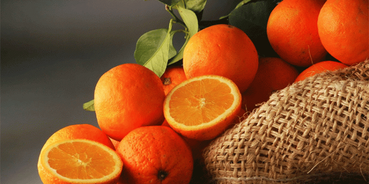 Brazil’s Orange Harvest Surges by 36%: Key Factors Driving the Boom