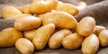 Starch Potato Prices Rise in 2024: What Farmers and Agronomists Need to Know