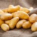 Starch Potato Prices Rise in 2024: What Farmers and Agronomists Need to Know