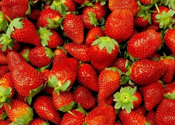 Strawberries Dominate April 2025 Wholesale Markets: Trends, Prices, and Future Outlook