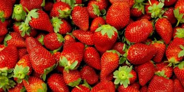 Strawberries Dominate April 2025 Wholesale Markets: Trends, Prices, and Future Outlook