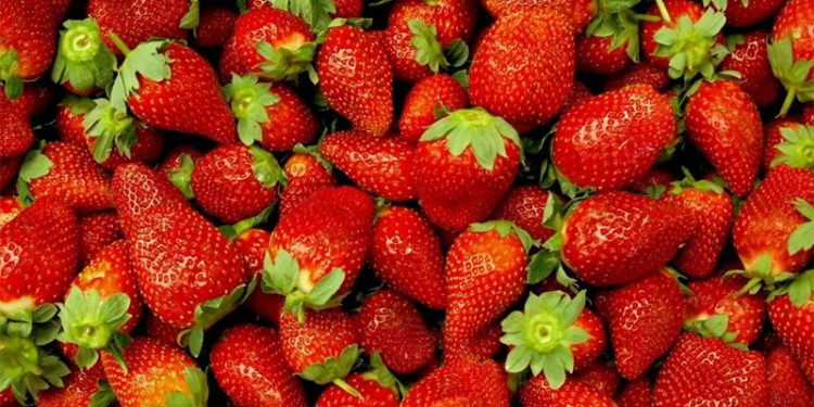 Strawberries Dominate April 2025 Wholesale Markets: Trends, Prices, and Future Outlook
