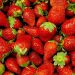 Strawberries Dominate April 2025 Wholesale Markets: Trends, Prices, and Future Outlook