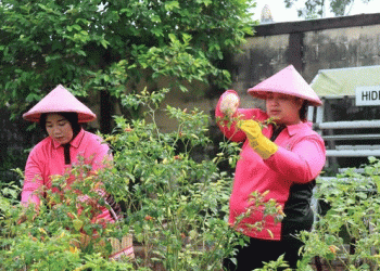 Urban Farming & Sustainable Food Security: How Community-Led Agriculture is Transforming Small-Scale Production