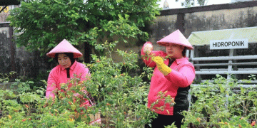 Urban Farming & Sustainable Food Security: How Community-Led Agriculture is Transforming Small-Scale Production