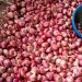 Onion Price Crash: Farmers in Crisis as Bumper Harvest Floods Market – What’s Next?