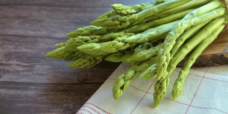 Peruvian Asparagus Expands in Europe Despite Price Pressure: Strategies for Sustainable Growth