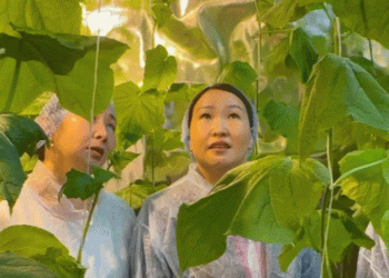 Smart Garden” in the Arctic: How a Yakutian School is Pioneering Year-Round Farming in Extreme Conditions