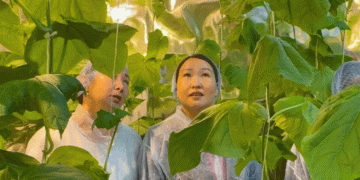Smart Garden” in the Arctic: How a Yakutian School is Pioneering Year-Round Farming in Extreme Conditions