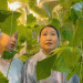 Smart Garden” in the Arctic: How a Yakutian School is Pioneering Year-Round Farming in Extreme Conditions