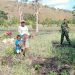 Strengthening Food Security: How Military-Civilian Collaboration Boosts Onion Farming in East Sumba
