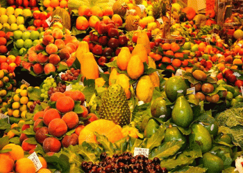 Spain’s Rising Dependence on Moroccan Produce: A Threat to EU Food Sovereignty?