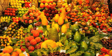 Spain’s Rising Dependence on Moroccan Produce: A Threat to EU Food Sovereignty?