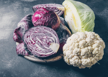 Top 10 Resilient Cabbage Varieties for Ulyanovsk and Similar Climates