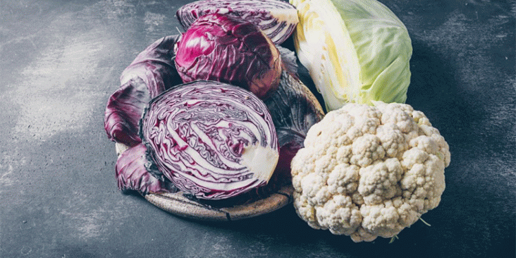 Top 10 Resilient Cabbage Varieties for Ulyanovsk and Similar Climates