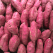 Egypt Set to Shatter Sweet Potato Export Records to UK: What’s Driving This Boom?
