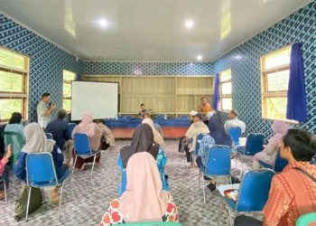 Sustainable Red Onion Farming: Key Practices for Higher Yields and Environmental Protection in Banten