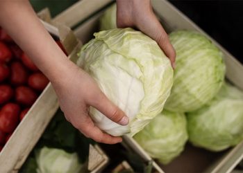 Onion and Cabbage Prices Skyrocket in Russia: Drought, Poor Harvest, and Market Turbulence Explained