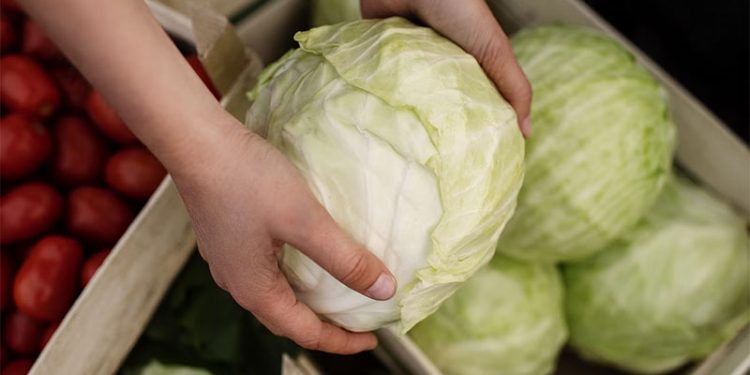 Onion and Cabbage Prices Skyrocket in Russia: Drought, Poor Harvest, and Market Turbulence Explained