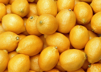 Global Lemon Production Surges in 2025: Mexico Leads, Spain & Emerging Markets Rise