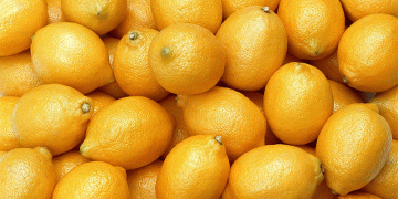 Global Lemon Production Surges in 2025: Mexico Leads, Spain & Emerging Markets Rise