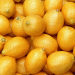 Global Lemon Production Surges in 2025: Mexico Leads, Spain & Emerging Markets Rise