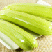 Zucchini Price Shock: Spanish Farmers Earn €0.22/kg While Consumers Pay 705% More – Who’s Profiting?