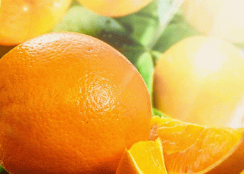 Córdoba’s Citrus Season Wraps Up with Lower-Than-Expected Demand: Market Trends and Future Outlook