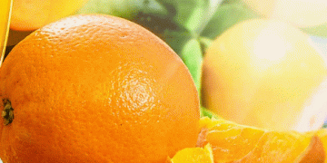 Córdoba’s Citrus Season Wraps Up with Lower-Than-Expected Demand: Market Trends and Future Outlook