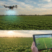 Digital Twins in Agriculture: How Virtual Farm Modeling Boosts Efficiency and Sustainability