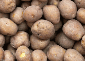 Peru’s Potato Exports Surge: Key Markets, Trends, and Opportunities for Global Agriculture