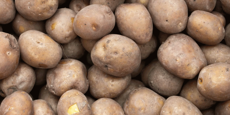 Peru’s Potato Exports Surge: Key Markets, Trends, and Opportunities for Global Agriculture