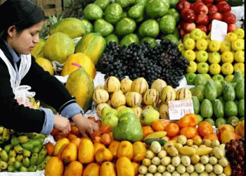 Peru’s Agricultural Exports on Track to Hit Record $15 Billion by 2025 – What’s Driving the Boom?