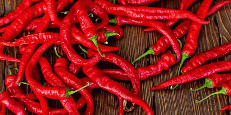 Why Are Non-Spicy Bird’s Eye Chili Prices Dropping? Market Trends and Implications for Farmers